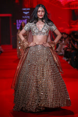 Tarakini Lehenga Set