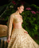 Golden Reverie Lehenga Set