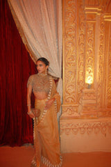 Alavia in Kahani Jadau Organza Saree Set