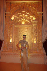Alavia in Kahani Jadau Organza Saree Set