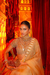 Alavia in Kahani Jadau Organza Saree Set
