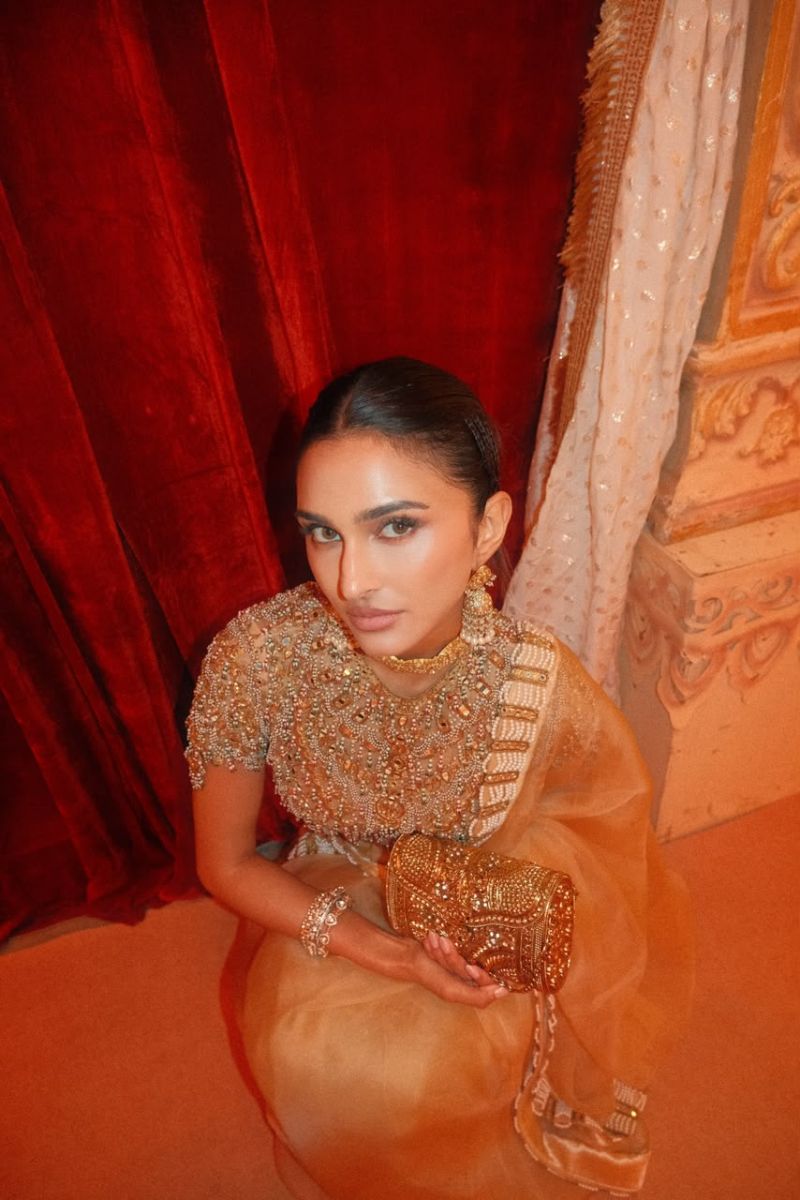 Alavia in Kahani Jadau Organza Saree Set