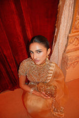 Alavia in Kahani Jadau Organza Saree Set
