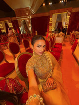 Alavia in Kahani Jadau Organza Saree Set