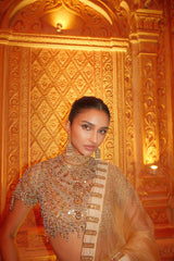 Alavia in Kahani Jadau Organza Saree Set