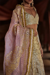 Aariz Sharara Set