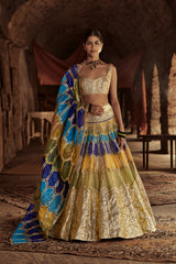 Suraj Mukhi Lehenga Set